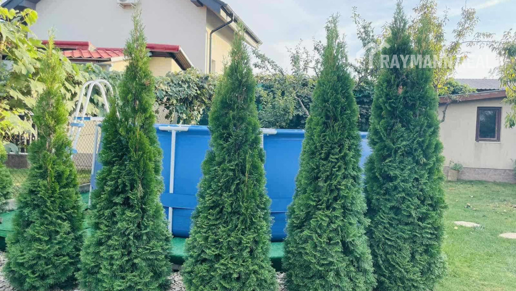 Na predaj veľmi pekná chata na celoročné bývanie- Geča