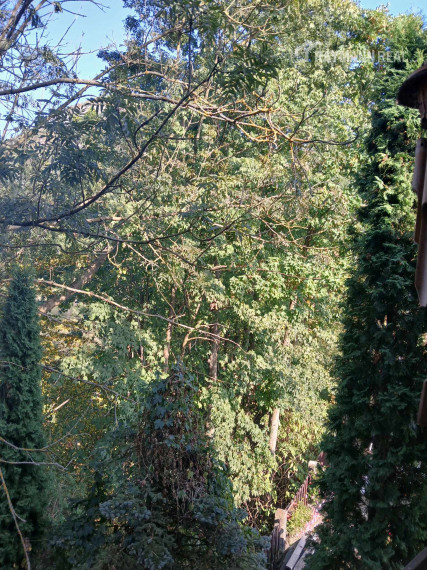 Predaj rodinnej chaty na Ružíne - Malá Lodina