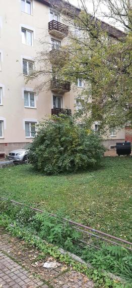 Prenájom 3 izbového bytu v lokalite Košice - Sever na Tolstého ulici