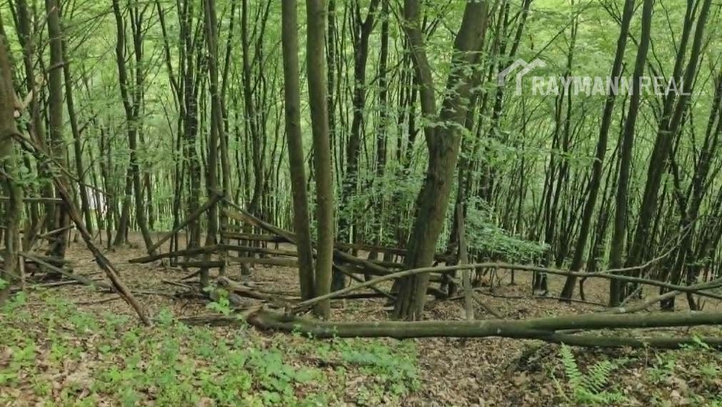 Na predaj jedinečný  pozemok 2278m2, Žakarovce -Mária Huta