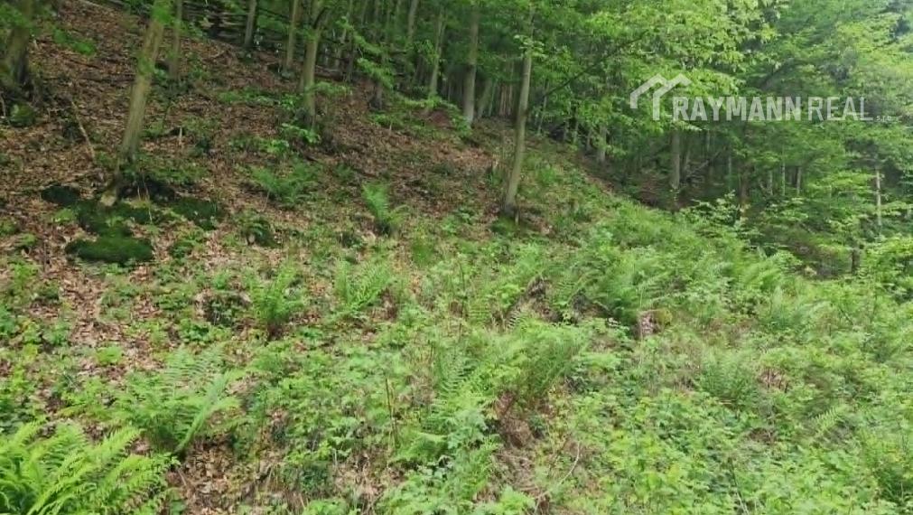 Na predaj jedinečný  pozemok 2278m2, Žakarovce -Mária Huta