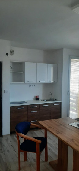 Prenájom  2 izbový byt na Tolstého