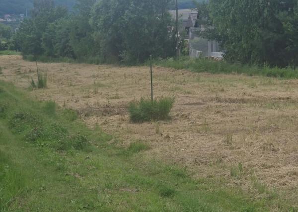 Na predaj pozemok v Rozhanovciach