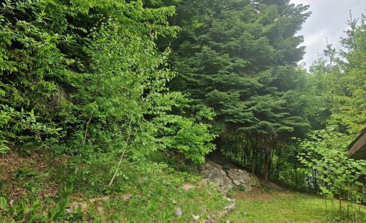 Predaj rodinnej chaty na Bradane - Ružín - fotografia 8