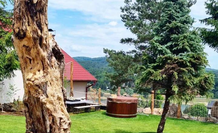 Predaj novostavba - rekreačná chata v rekreačnej oblasti Domaša - Dobra v ktastri obce Kvakovce - fotografia 19
