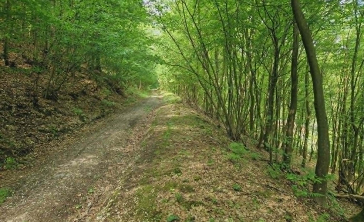 Na predaj jedinečný  pozemok 11 265m2, Žakarovce -Mária Huta - fotografia 1