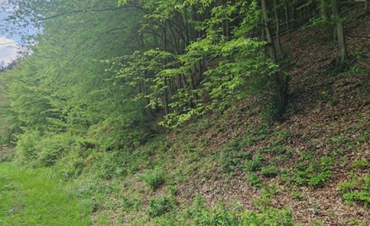Na predaj jedinečný  pozemok 11 265m2, Žakarovce -Mária Huta - fotografia 3