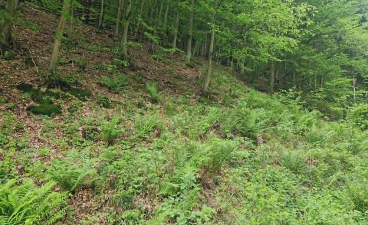 Na predaj jedinečný  pozemok 11 265m2, Žakarovce -Mária Huta - fotografia 4