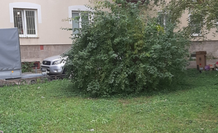 Prenájom 2 -izbového  bytu na ulici Tolstého v lokalite Košice - Sever - fotografia 14